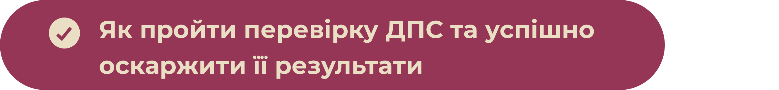 Як пройти перевірку ДПС та успішно