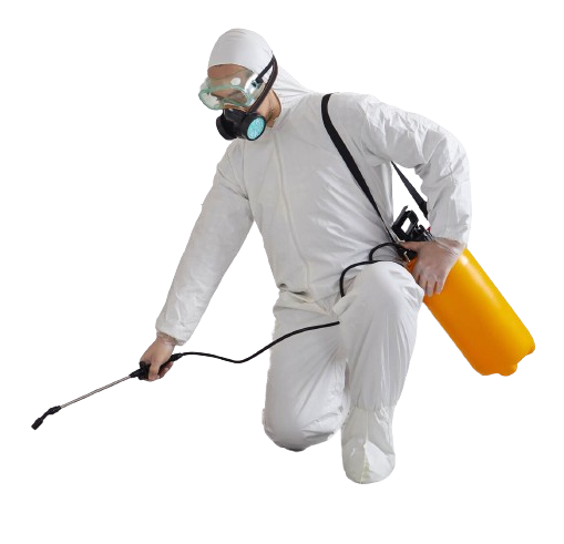 mensch2_freigestellt-removebg-preview