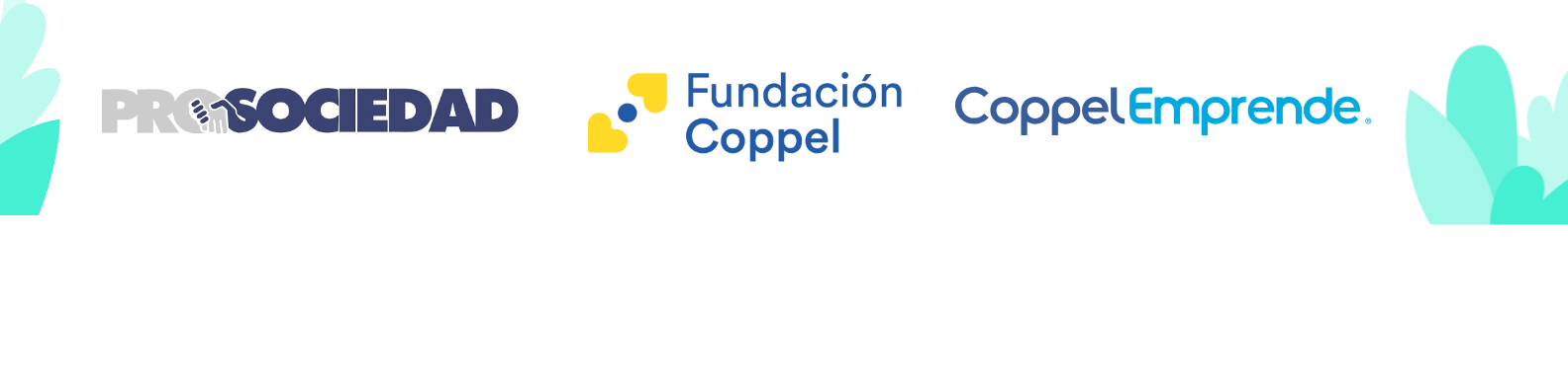 White_Minimalist_Elegant_Handwritten_LinkedIn_Banner_4