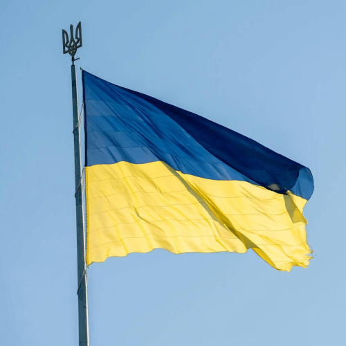 Винний курс онлайн про українське вино