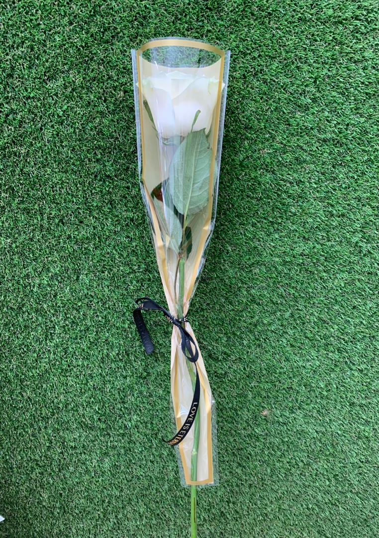 Detalle_Rosa_blanca_Floristera_Tropicana