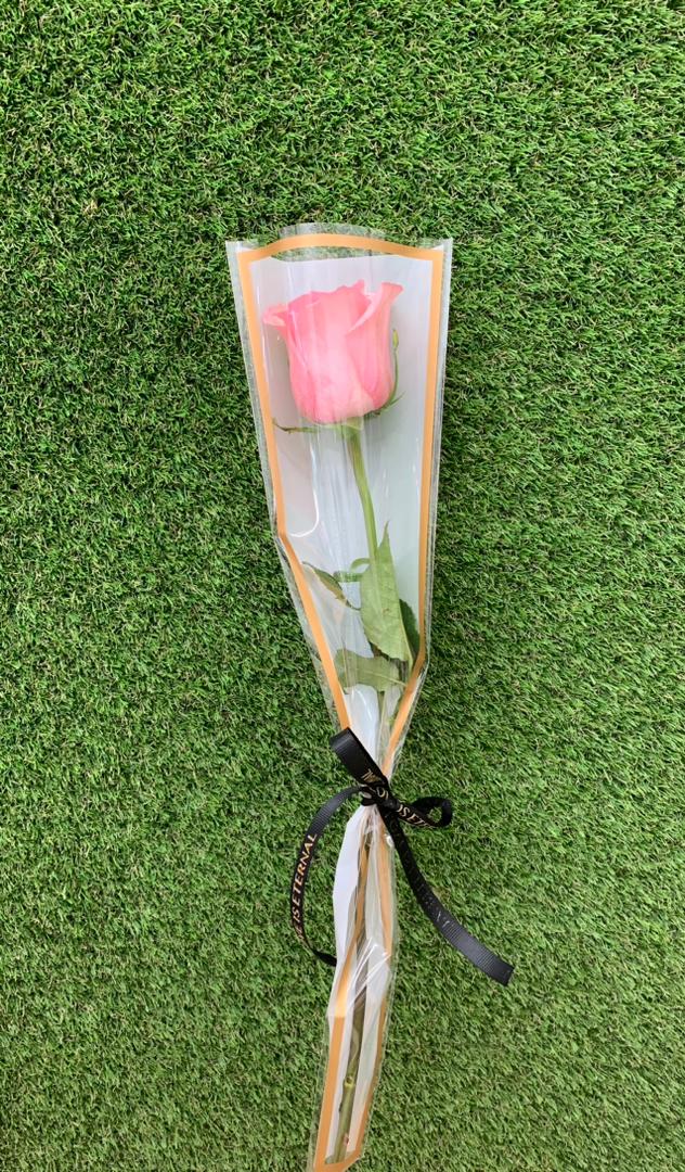 Detalle_rosa_rosada_Floristera_Tropicana