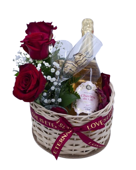 WhatsApp_Image_2025-02-11_at_20_29_31__3_-removebg-preview