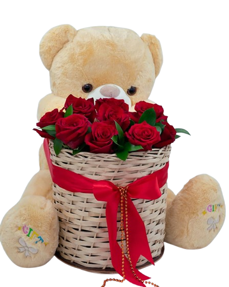 WhatsApp_Image_2025-02-11_at_20_29_32-removebg-preview