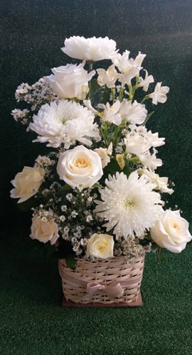 White_Beauty_Floristera_Tropicana