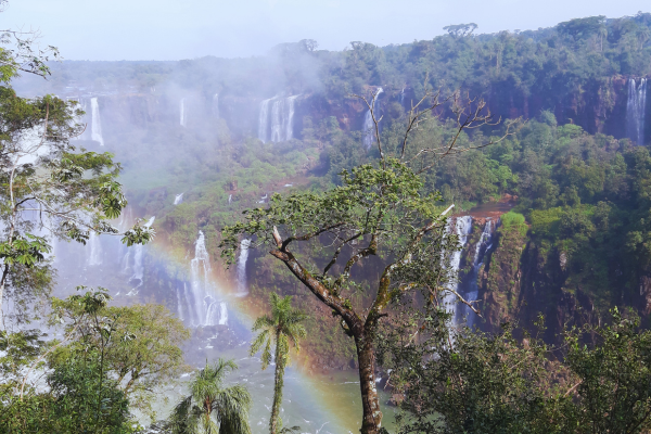 Design_sem_nome_-_2024-05-27T203207.137