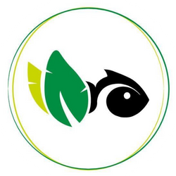 Design_sem_nome_-_2024-05-28T032521.996