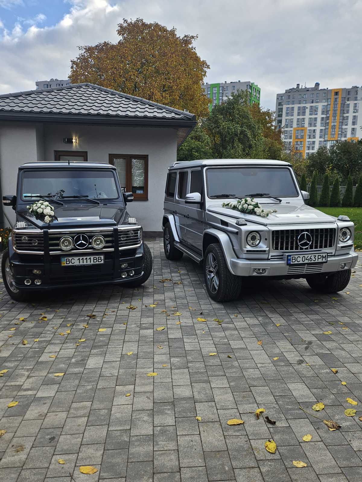 зображення_viber_2025-10-18_10-06-45-570