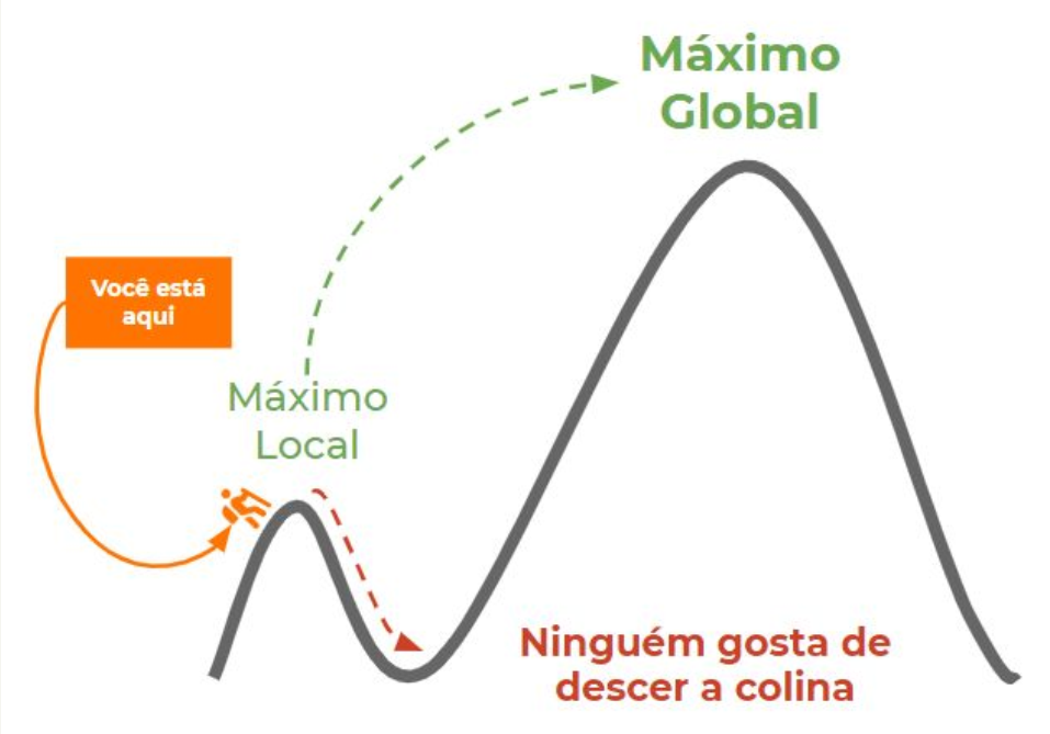 Os conceitos de máximo local e máximo global