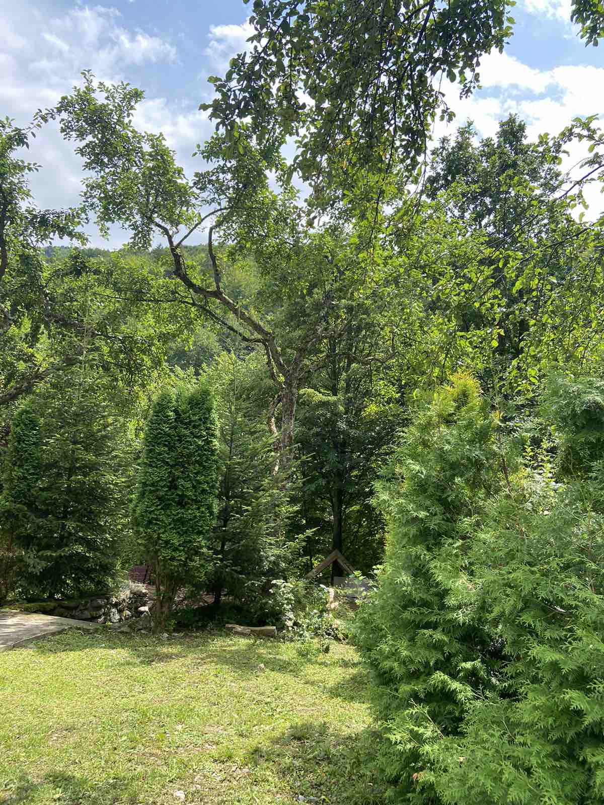 izobrazhenie_viber_2023-07-26_18-43-46-589