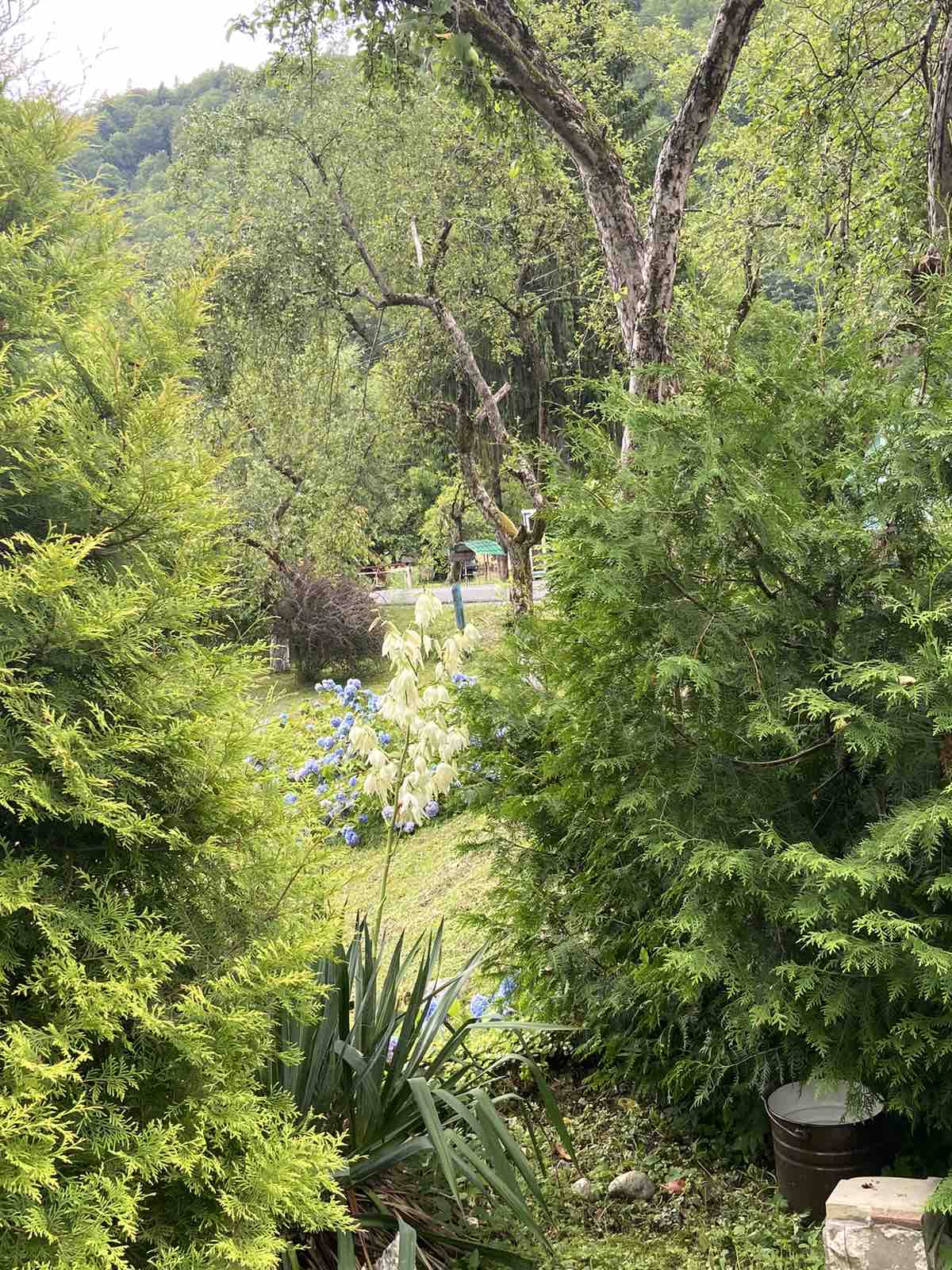 izobrazhenie_viber_2023-07-26_18-43-46-775