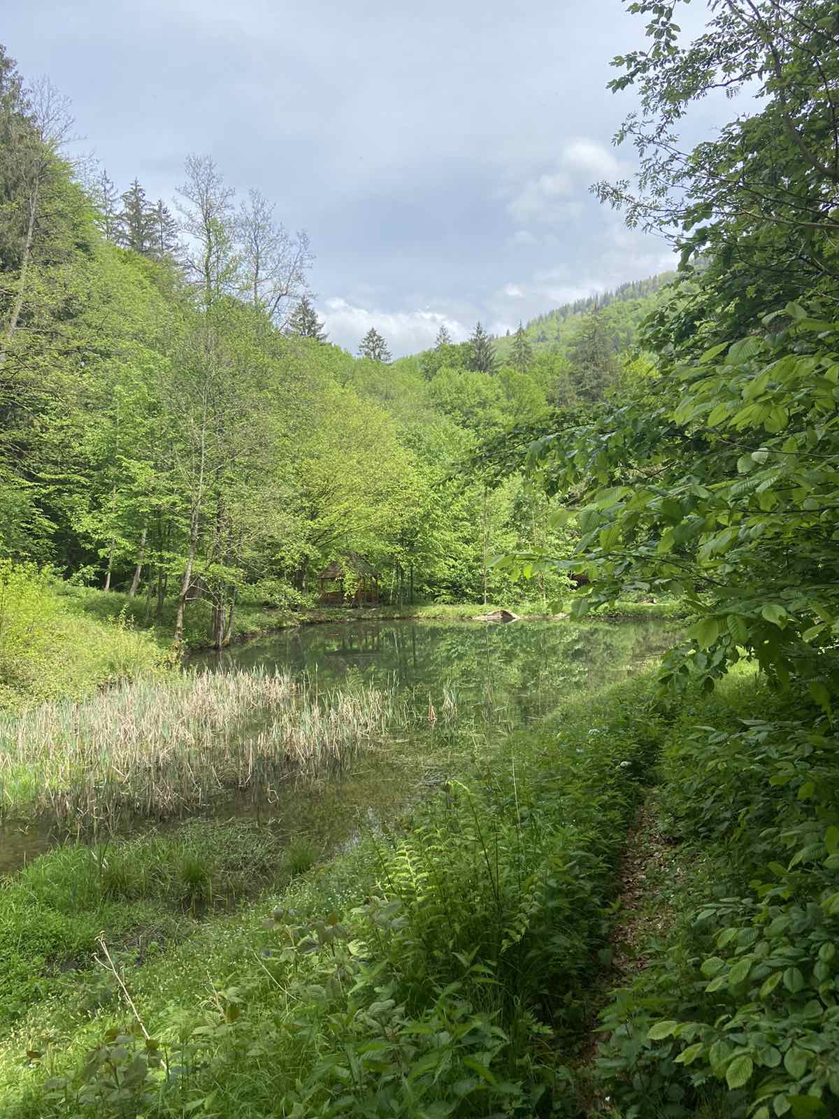 izobrazhenie_viber_2023-07-27_14-57-47-114_1