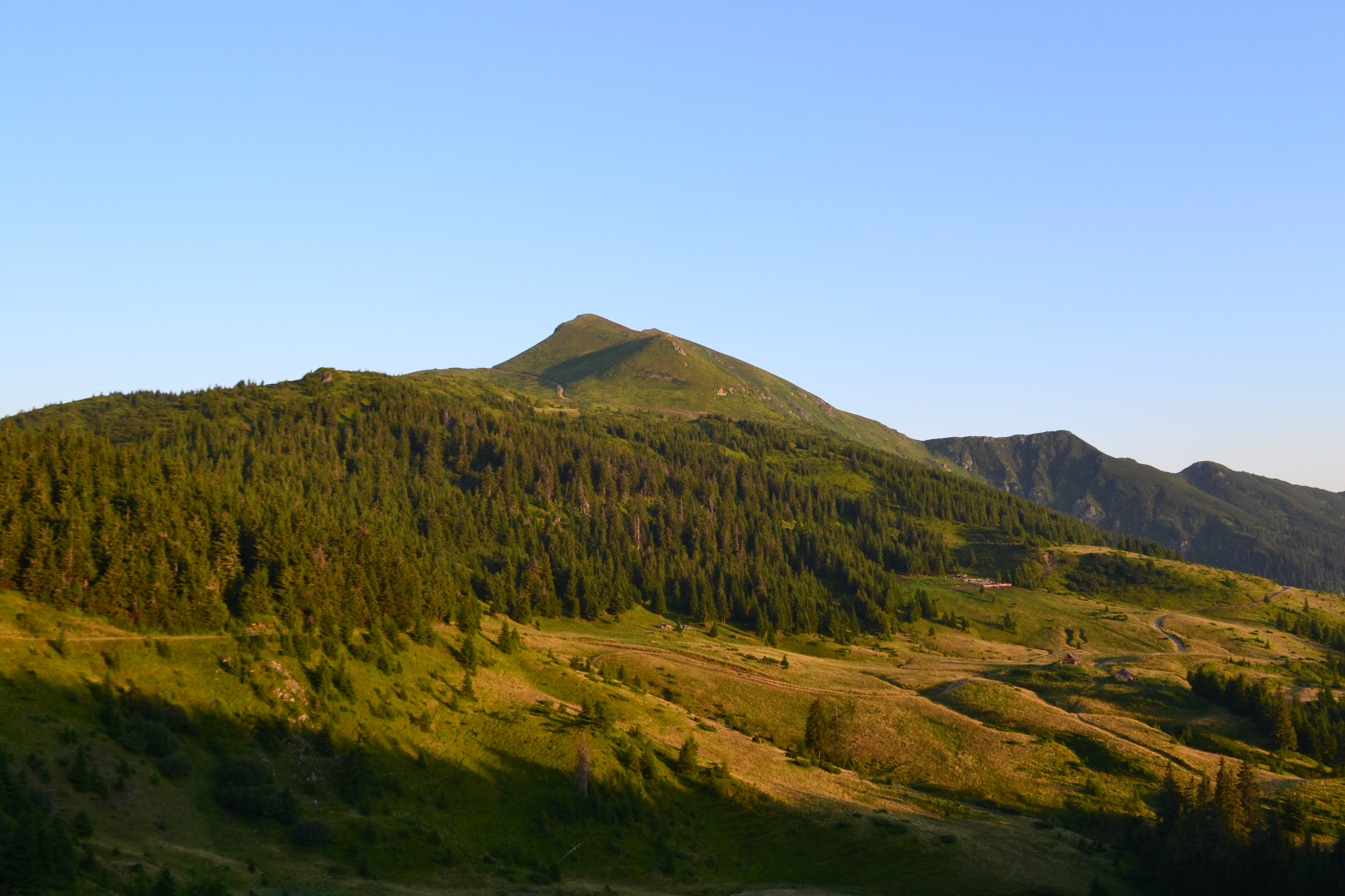 Polonina_Lisicha_na_Marmoroskomu_hrebti