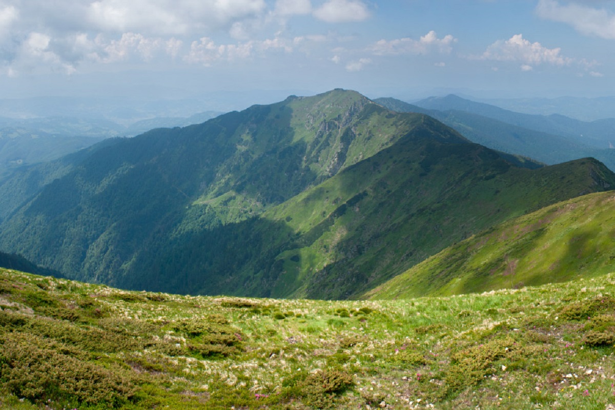 gora_zherban
