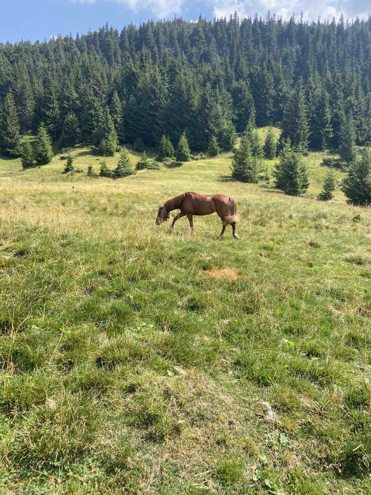 izobrazhenie_viber_2023-09-14_12-28-49-266