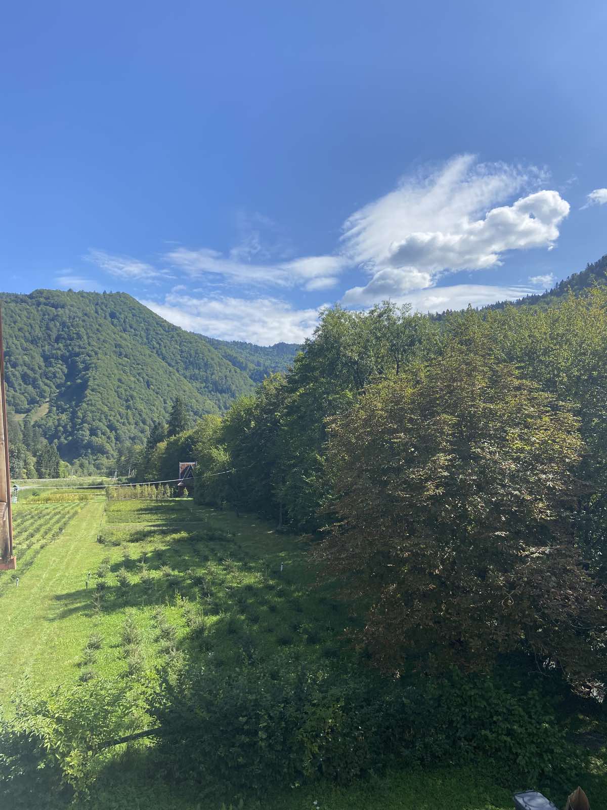 izobrazhenie_viber_2023-09-14_12-28-49-662