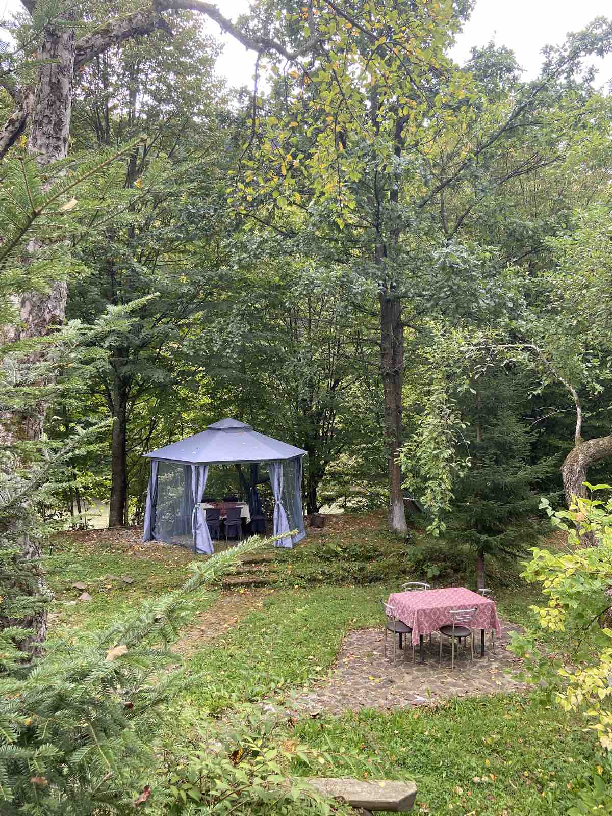 izobrazhenie_viber_2023-09-14_12-28-51-829