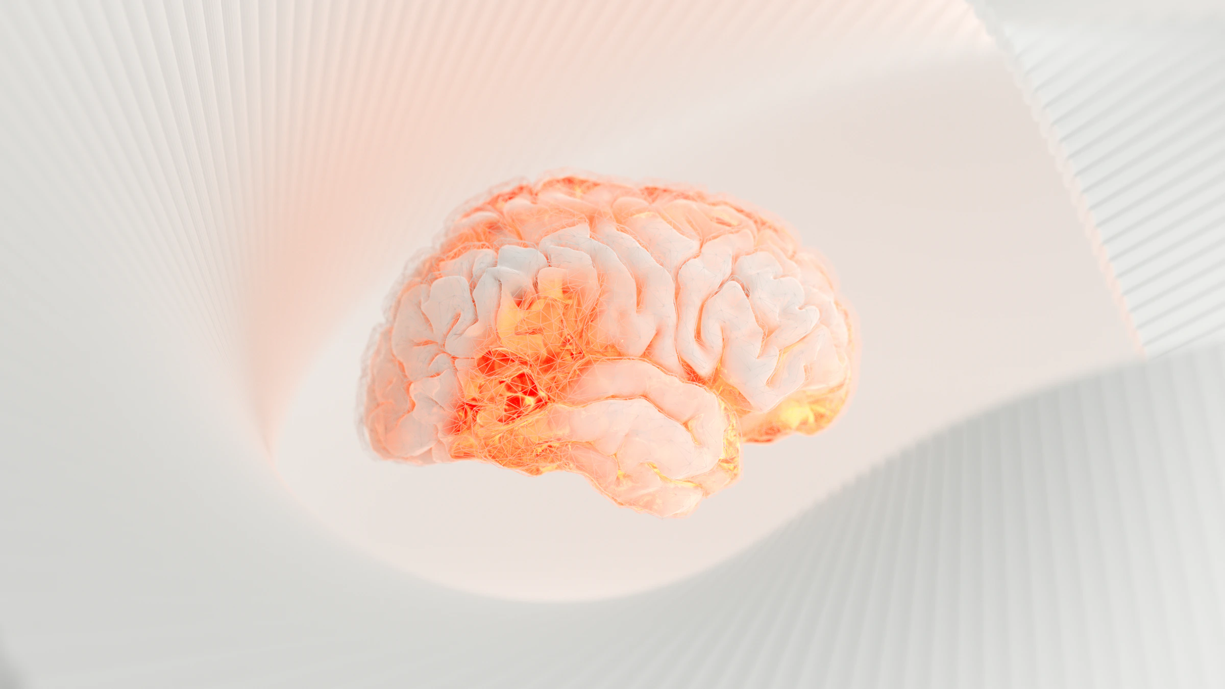 KOMMERS_1786760653588_unsplash_id_9A9TcXEsy6c.webp