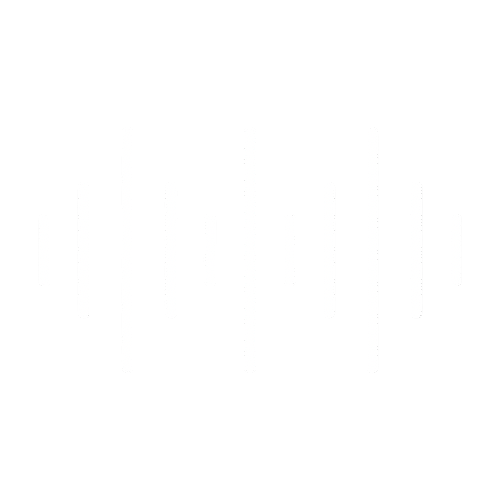 voicewave