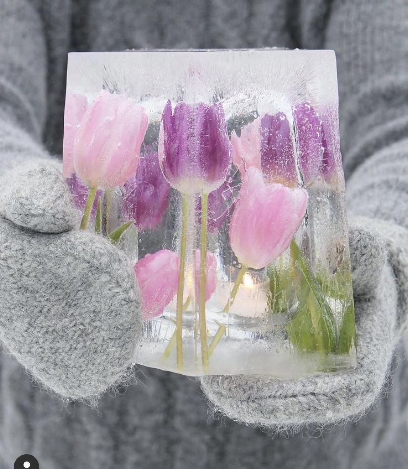 b48acf420cb7109cad4d62640a61f8cb