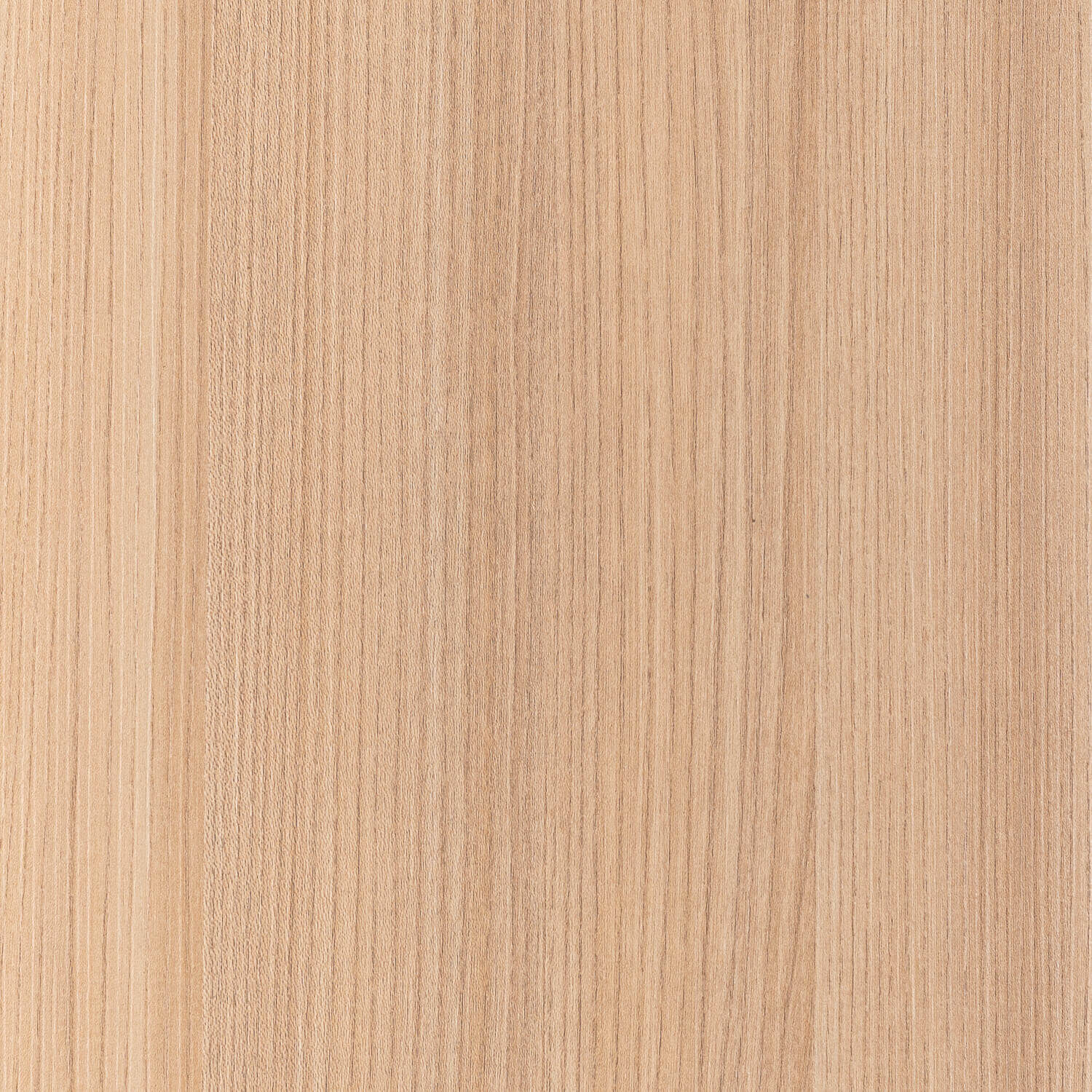 Diplos_CH3005_Montale_Apricale_Aquarama