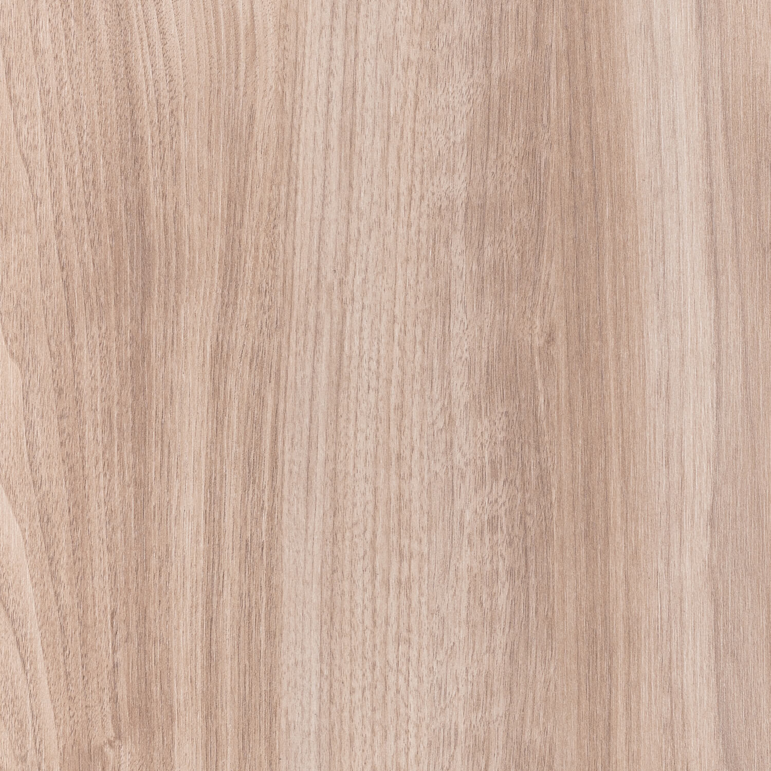 Diplos_CH3009_Aurora_Argentina_Root