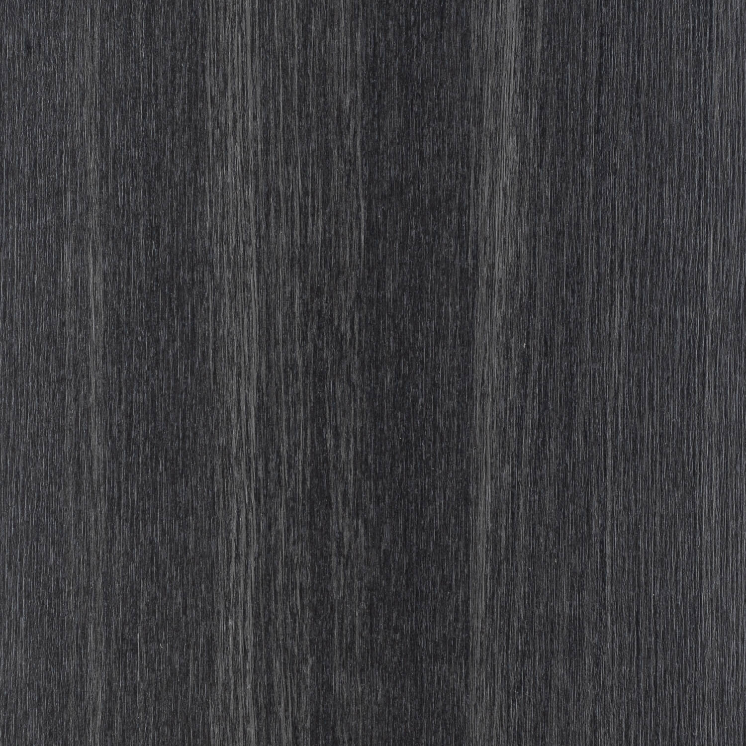 Diplos_CH3028_Hidalgo_Asturie_Root