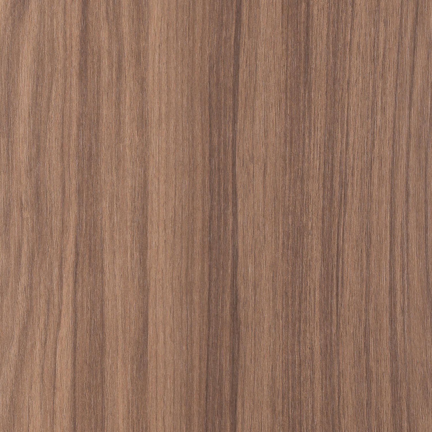 Istanti_CH1985_Noce_Andalusia_Root