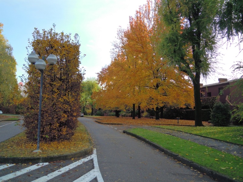 betnavait_5b056e60d5e87_DSCN1980