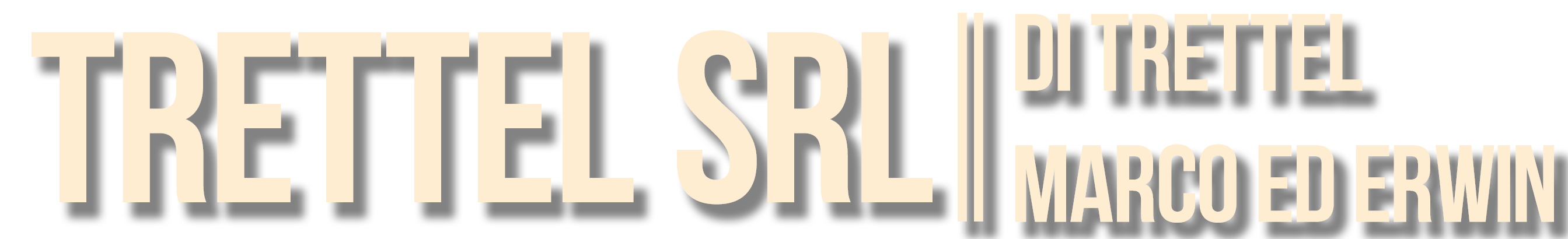TRETTEL_LOGO3_double_srl_site