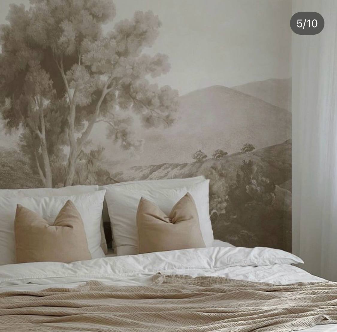 photo_2025-01-26_00-11-18