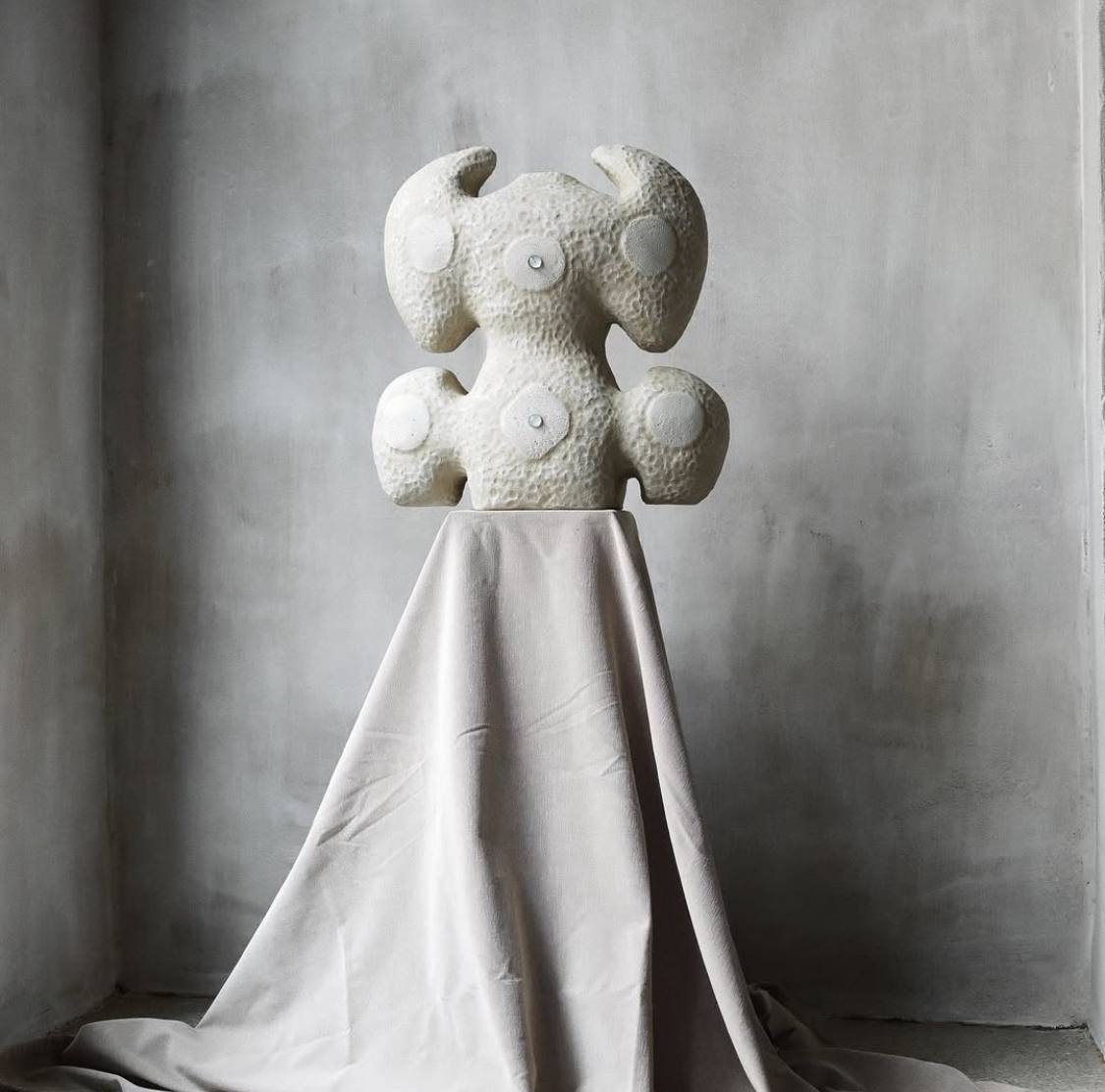 photo_2025-01-26_00-02-19