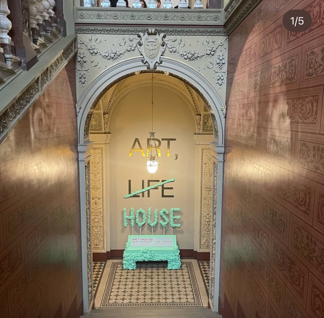 photo_2025-01-26_00-02-52