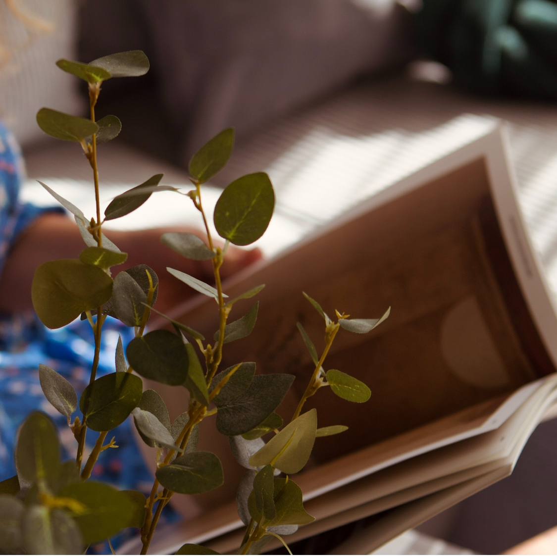 photo_2025-01-25_21-54-49