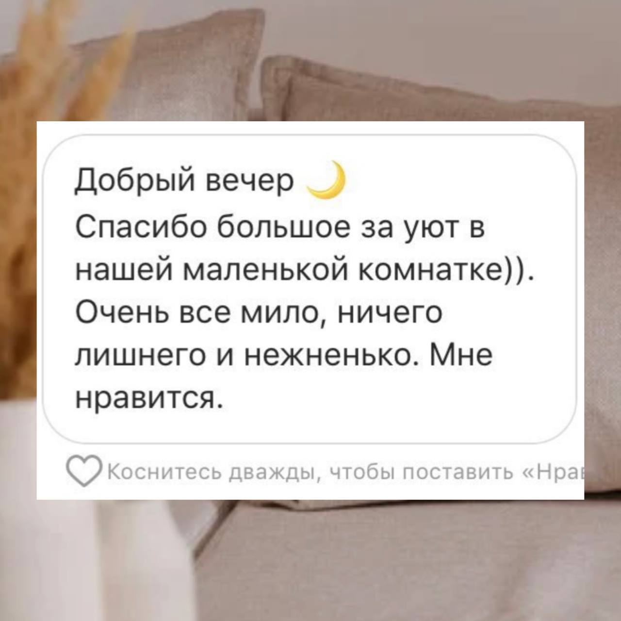 photo_2025-01-25_22-31-23