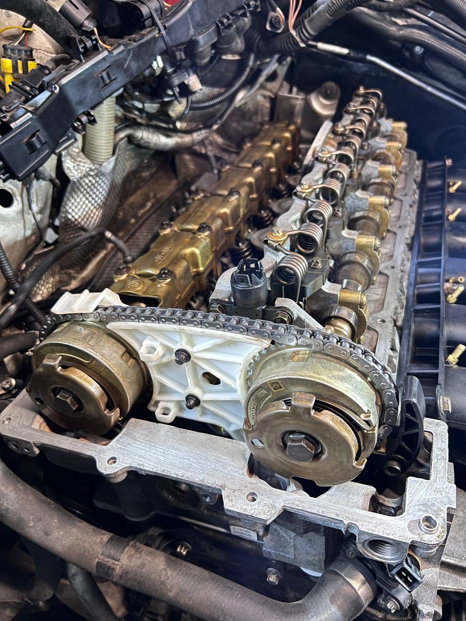 10b31c53-bf84-4bf0-b96b-57a08436dbcd