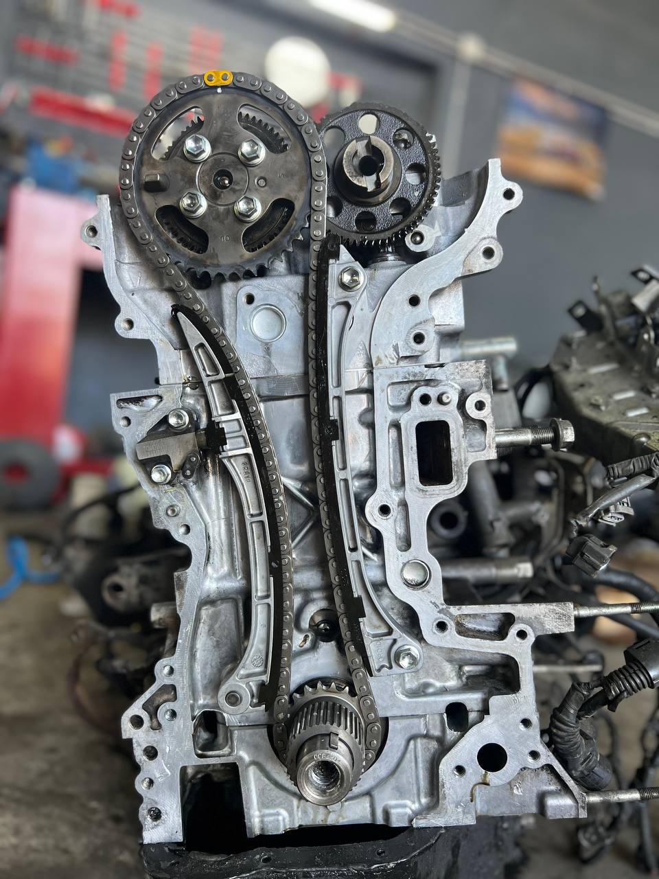 295342e0-bff9-4982-89ec-28acb4c1e233