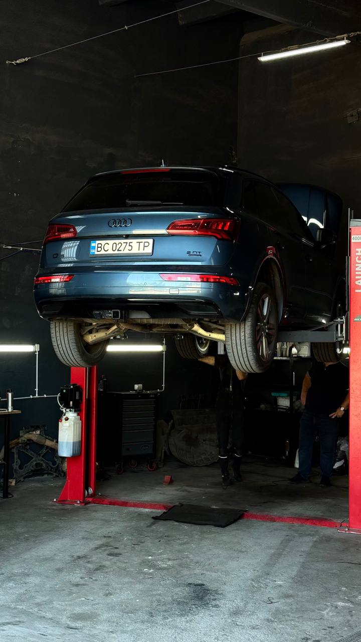 photo_5314805481300163505_y