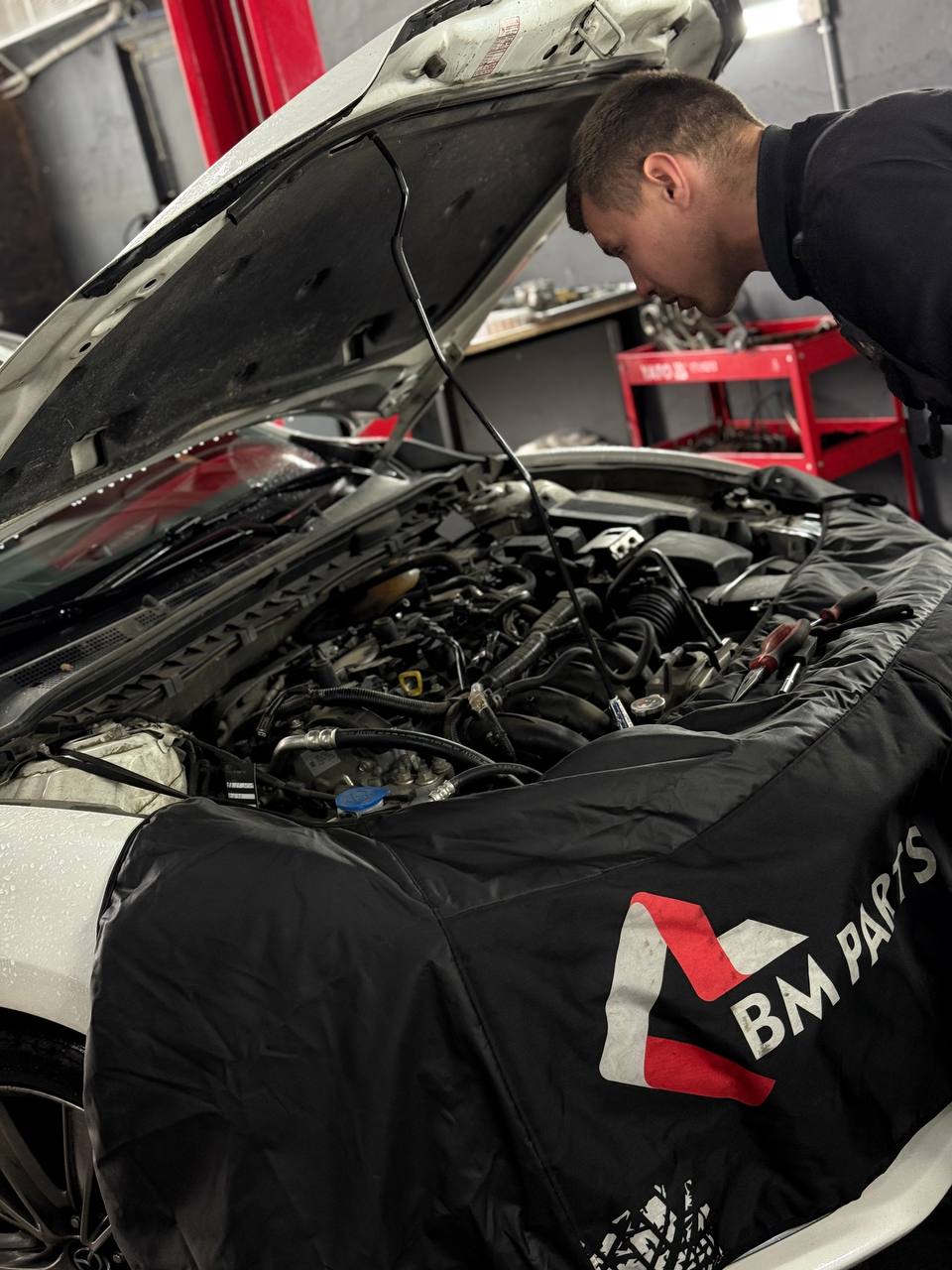 photo_5314805481300163507_y