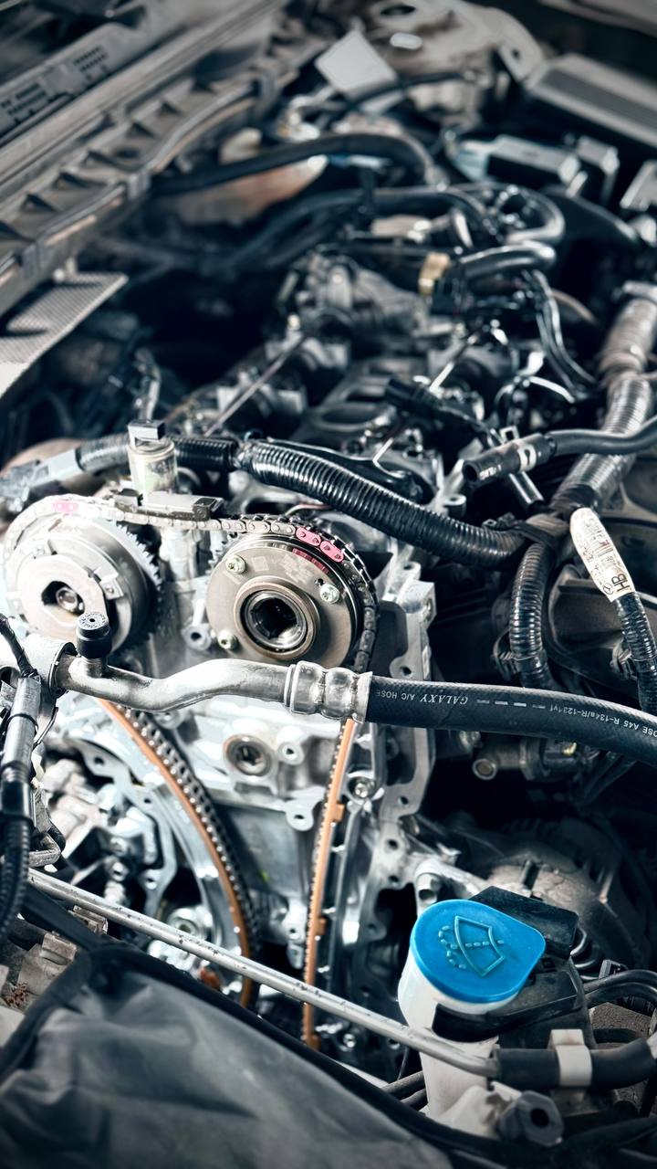 photo_5314805481300163508_y