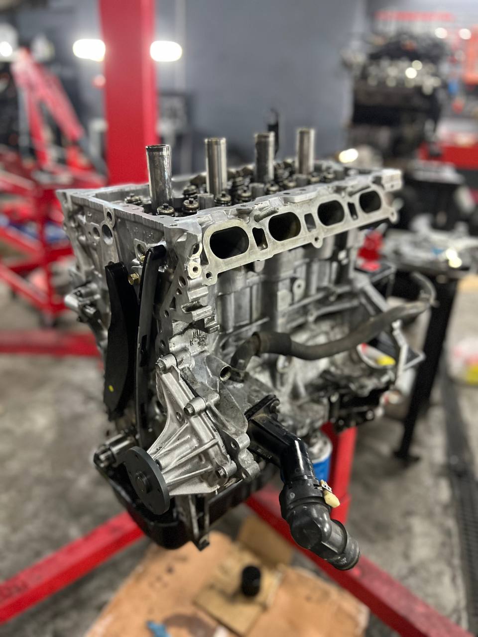 photo_5314805481300163536_y