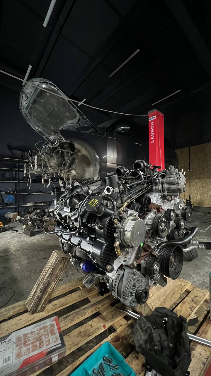 photo_5314805481300163537_y