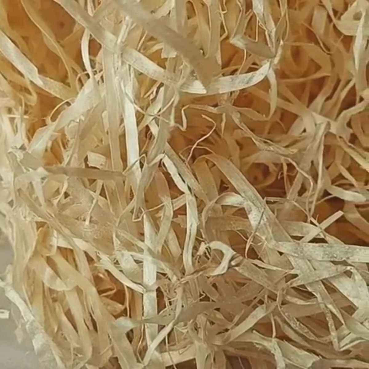 photo_2025-11-26_00-46-19