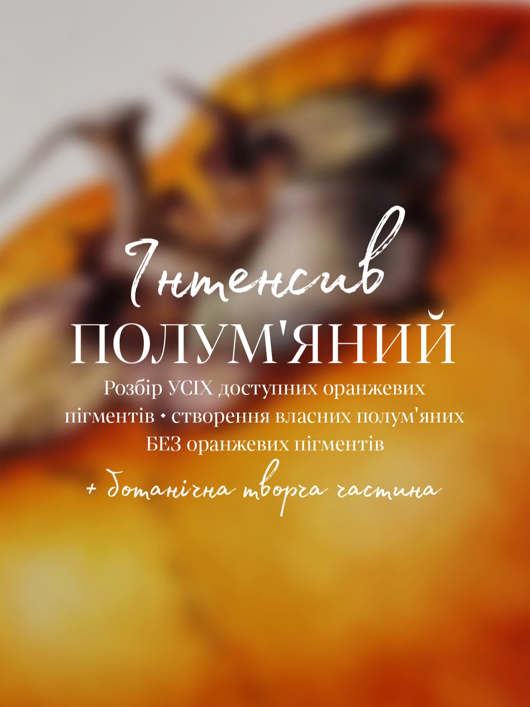 Picsart_25-01-12_22-39-42-403(1)