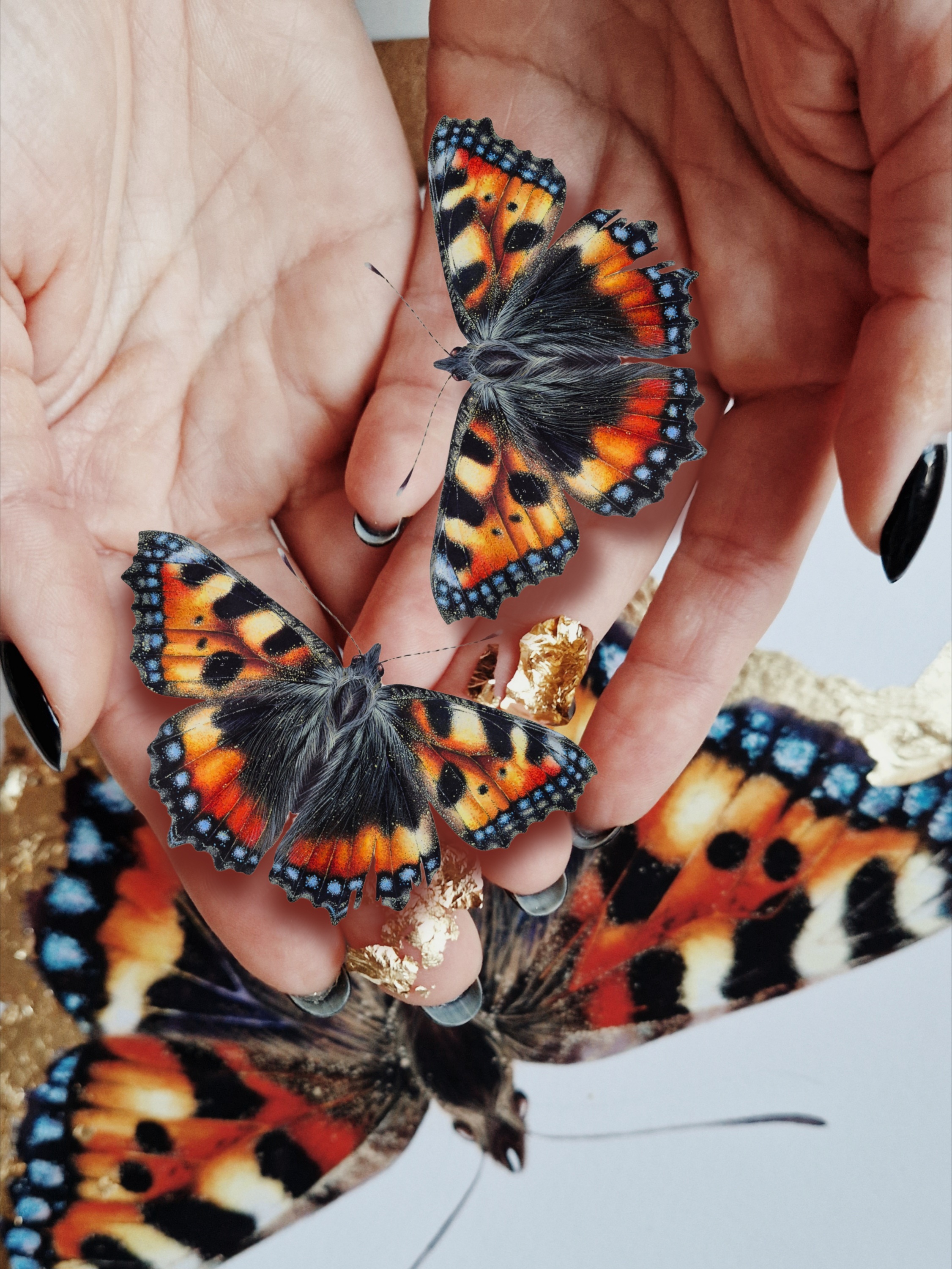 Picsart_25-09-05_13-58-11-305(1)