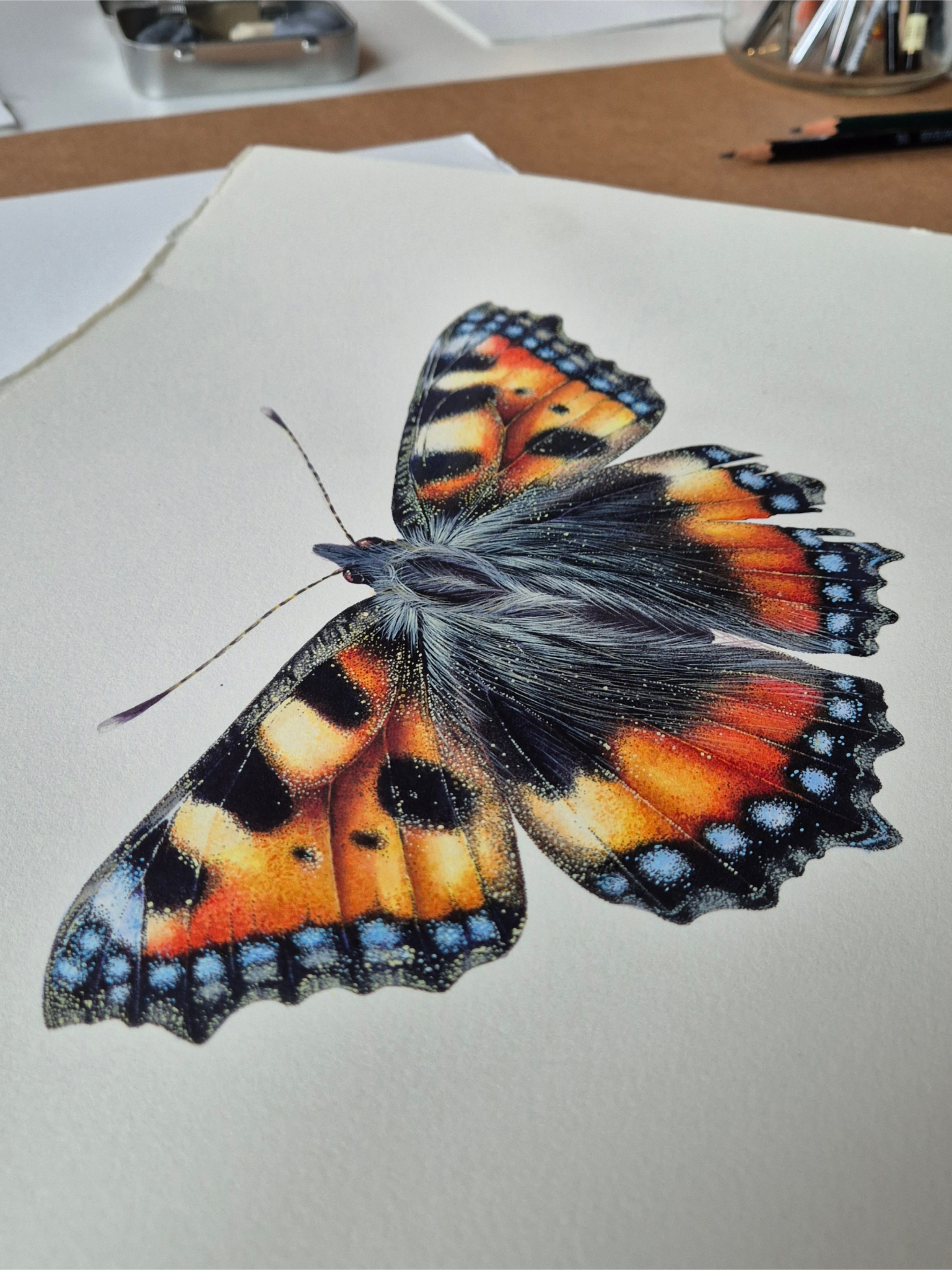 Picsart_25-09-25_10-24-53-706