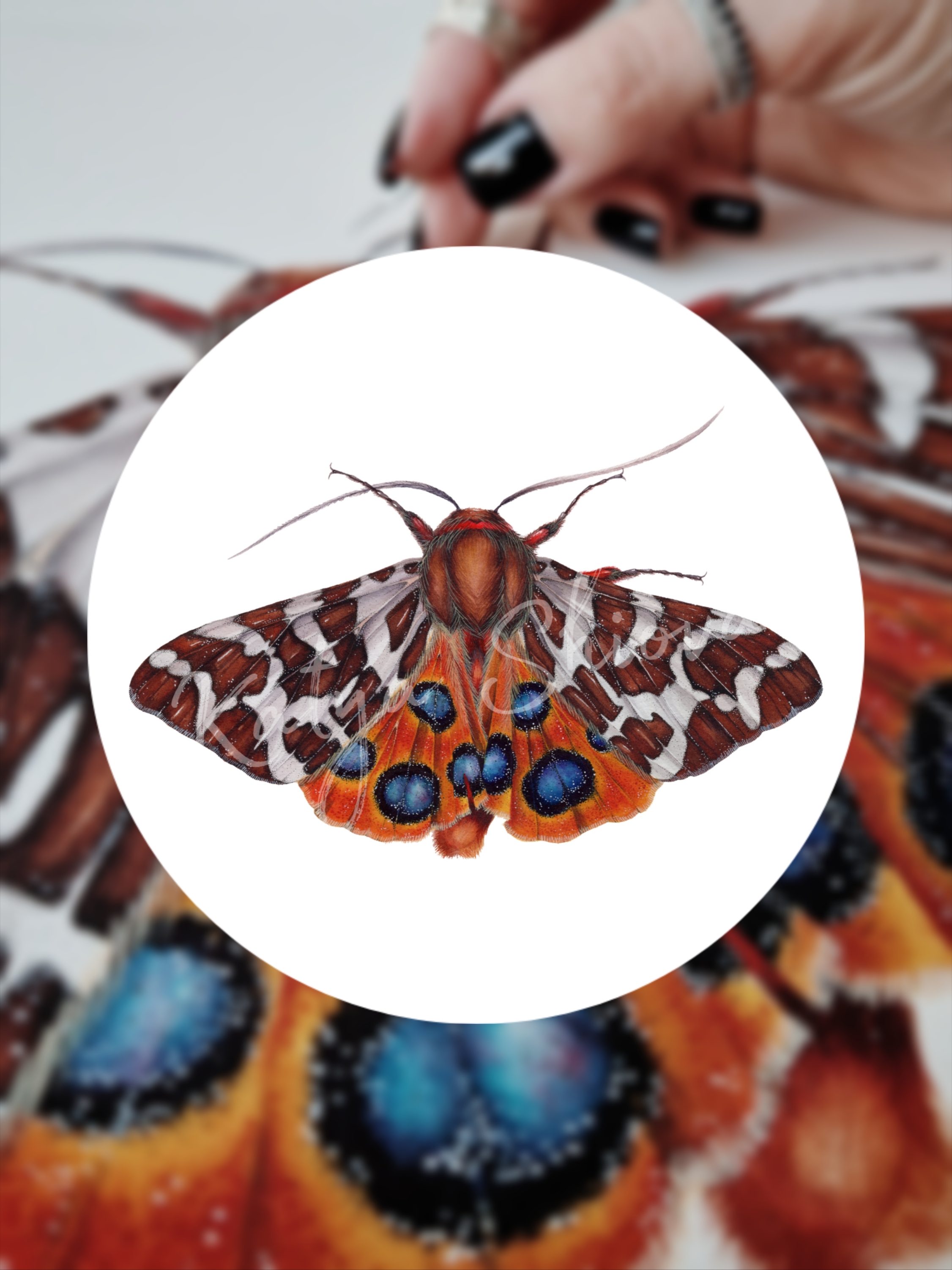 Picsart_25-09-28_18-35-33-431