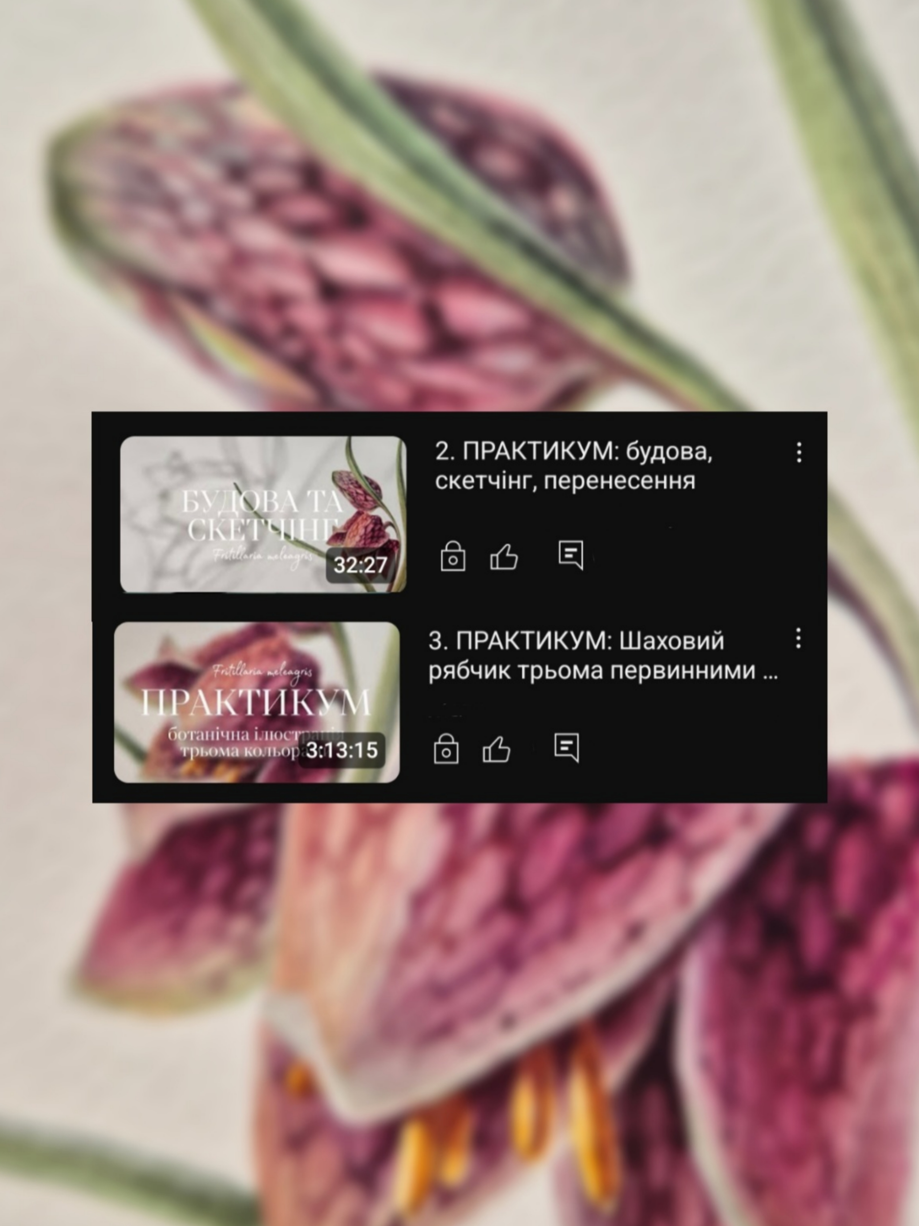 Picsart_25-11-02_22-56-50-972