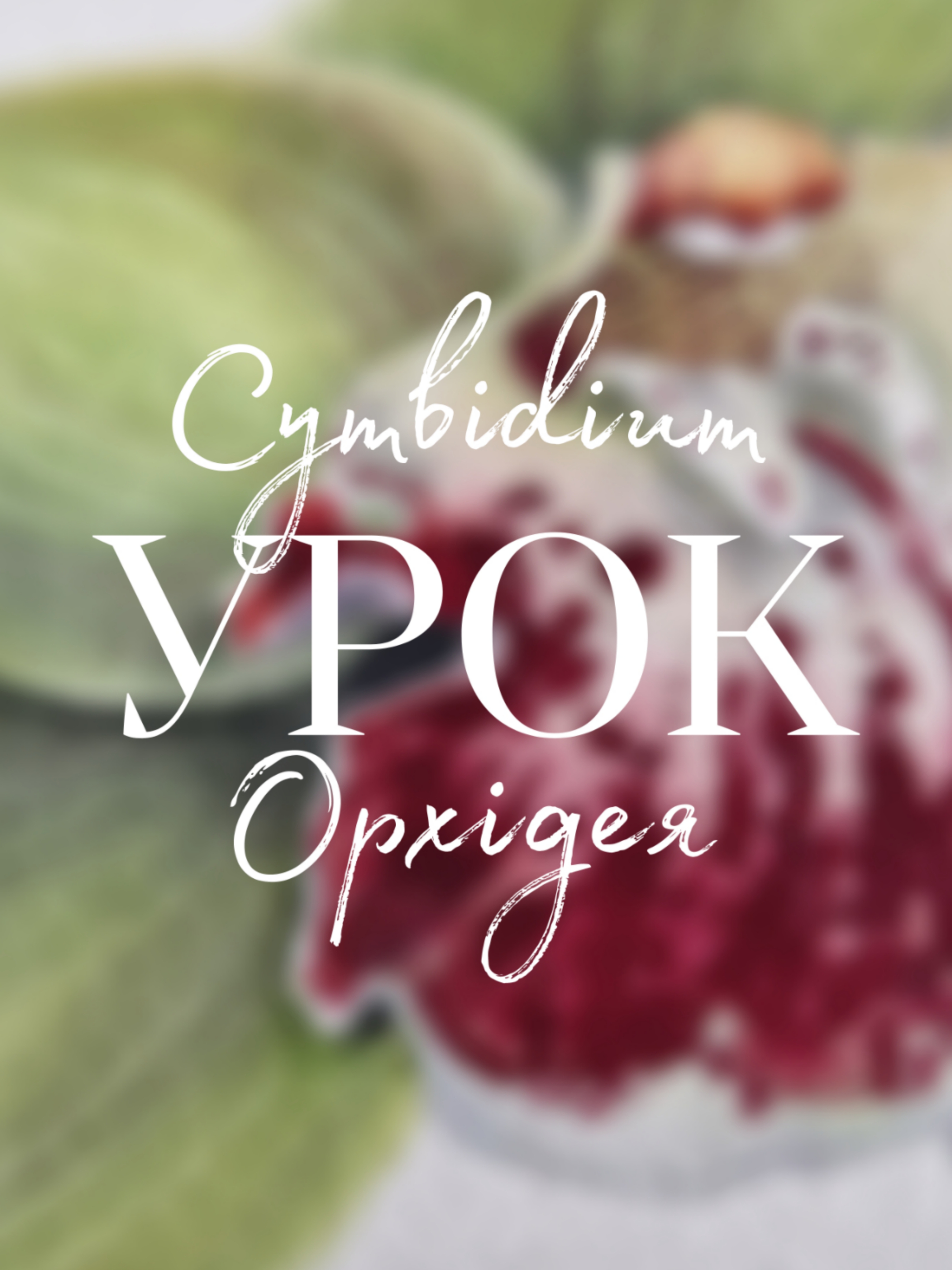 Picsart_25-11-02_23-19-48-031