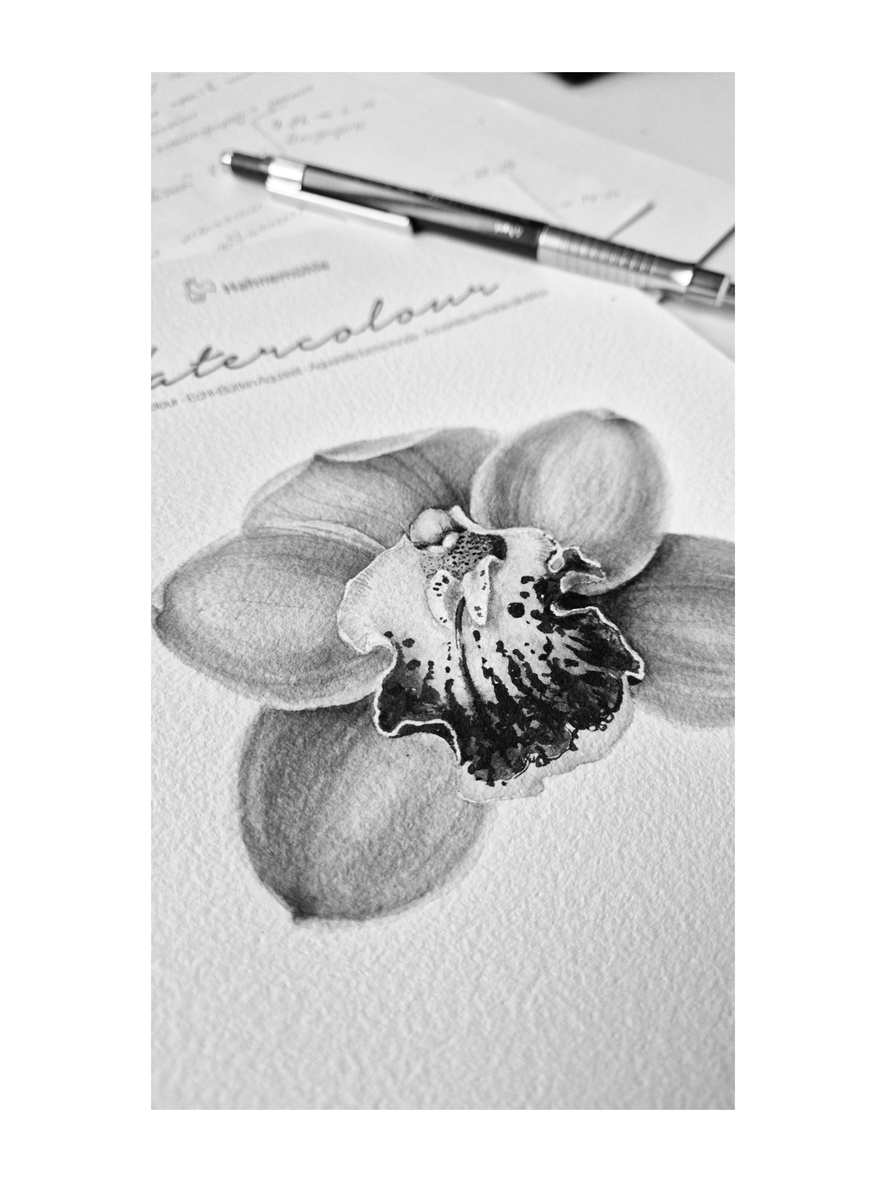 Picsart_25-11-02_23-22-27-073